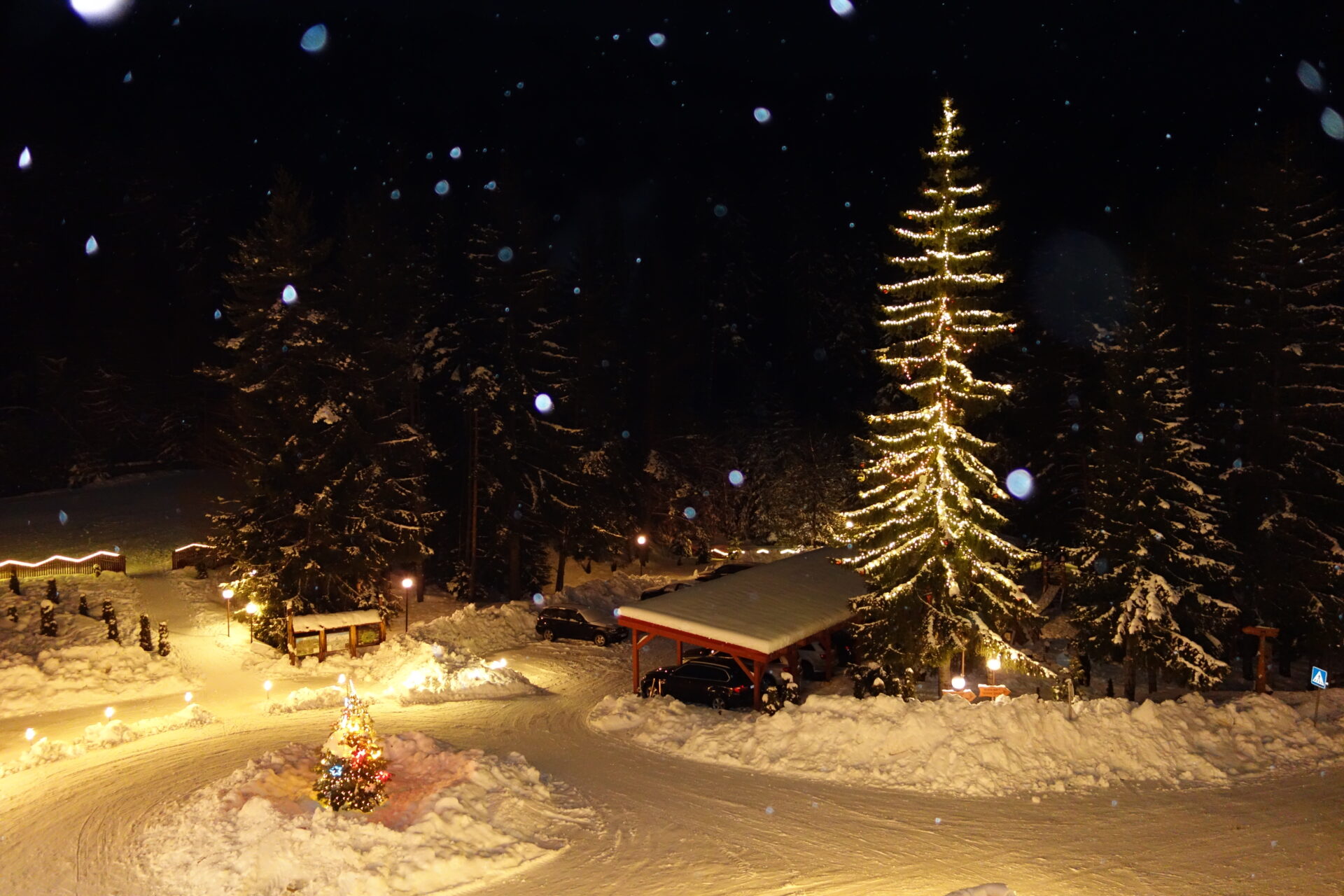 The white dots are snowflakes at Yastrebets Hotel and SPA, Borovets, Bulgaria