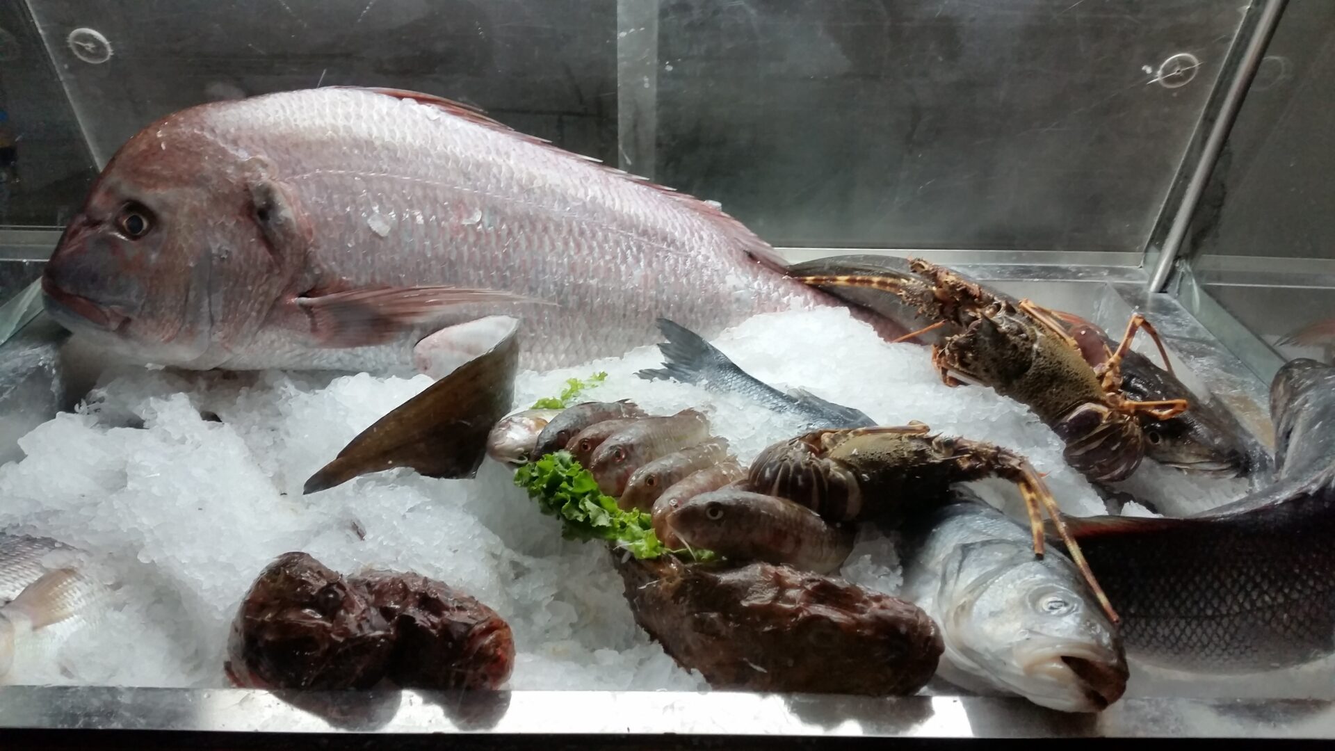 Fresh fish display at Thea Thalassa by placescases.com