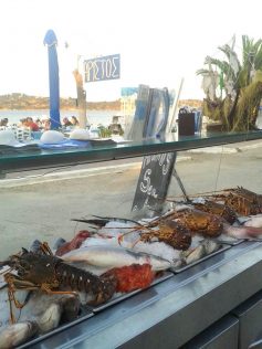 Biggest priceworthy variety at Aristos fish restaurant