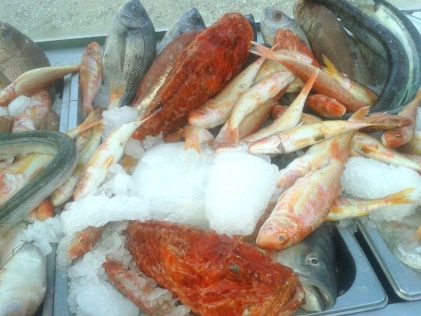 Biggest variety of fresh fish at Aristos