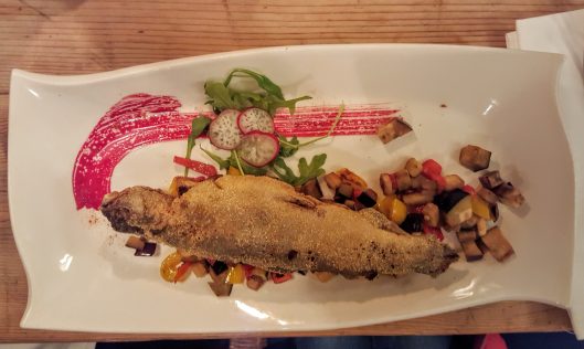 Trout at Pri Vitezu by placescases.com