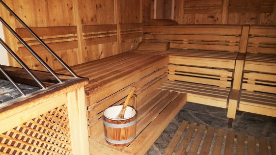 Сауна в СПА зоната на хотел Ястребец/ Sauna at the SPA of Yastrebets hotel by placescases.com