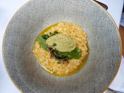Pumpkin risotto at restaurant Apetit, placescases.com