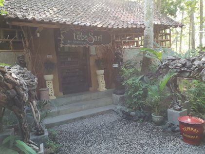 Плантация за кафе Teba Sari/ Teba Sari coffee plantaion in Bali, placescases.com