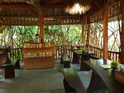 Дегустационна, плантация за кафе Teba Sari/ Degustation area at Teba Sari,placescases.com