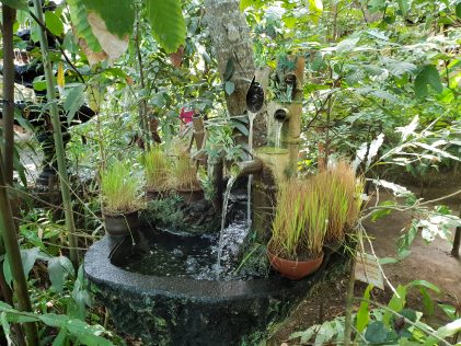 Природна инсталация/Natural installation at Teba Sari coffee plantation on Bali Island, placescases.com